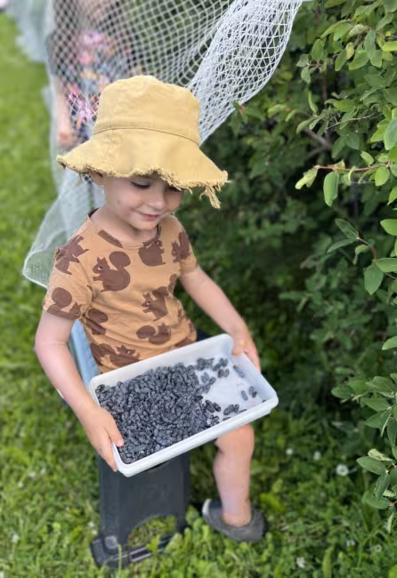 Les Jardins de Vieuxpont