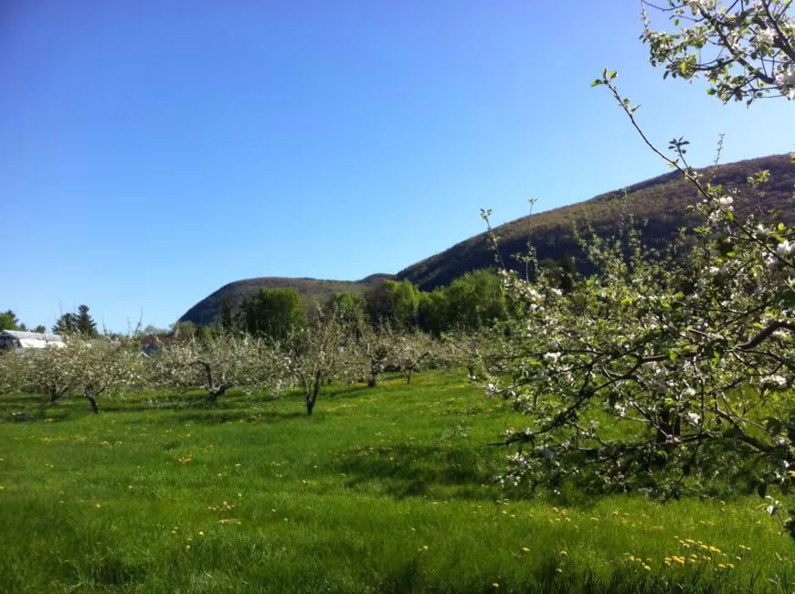 Verger Sullivan-Raymond