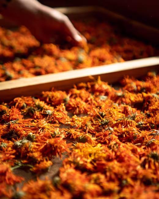 Tourisme Outaouais / A. Loiselle