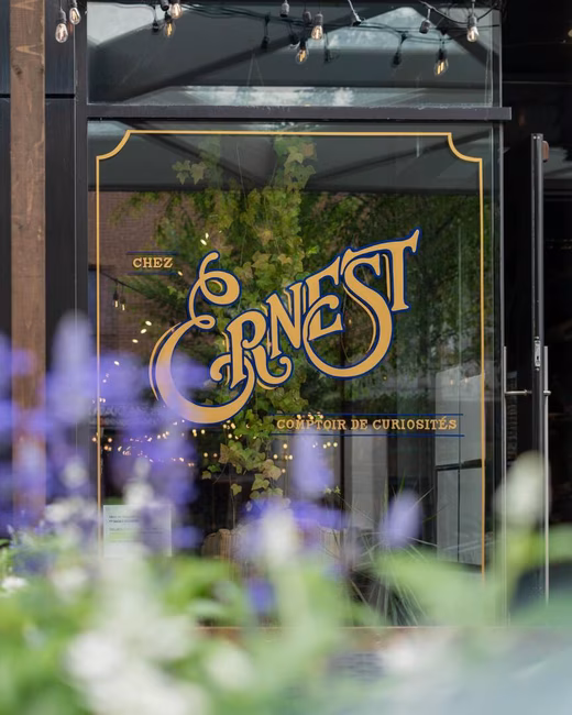 Chez Ernest - Comptoir de curiosité