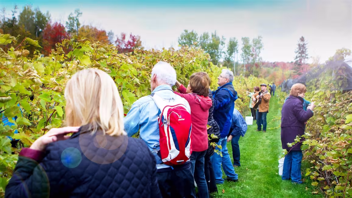 La Halte des Pèlerins