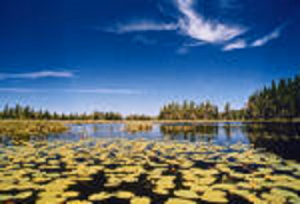 Lac à la Barbue