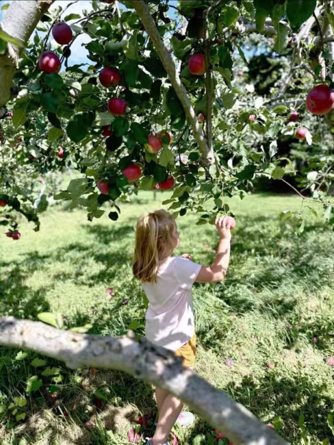 Vergers Blair Orchards