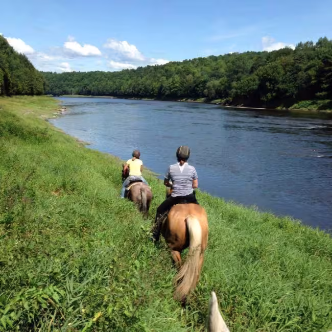 Camping Ferme Pégasus