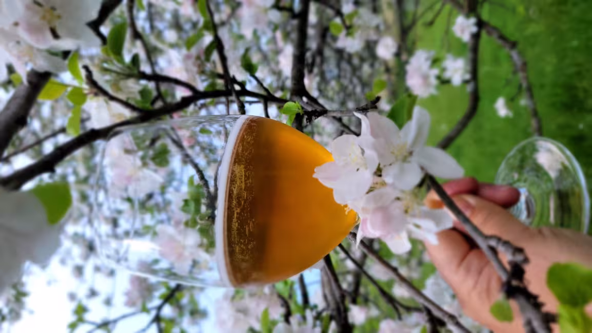 Cidrerie Pomme Sauvage