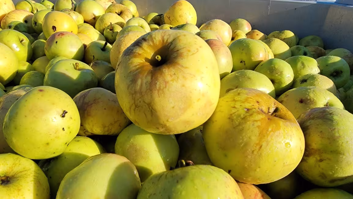 Cidrerie Pomme Sauvage