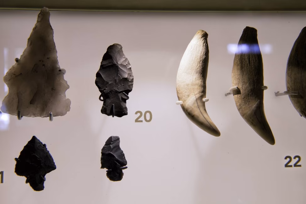 Maison Nivard-De Saint-Dizier, musée et site archéologique