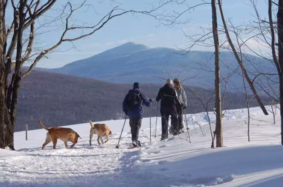 Au Diable Vert station de montagne