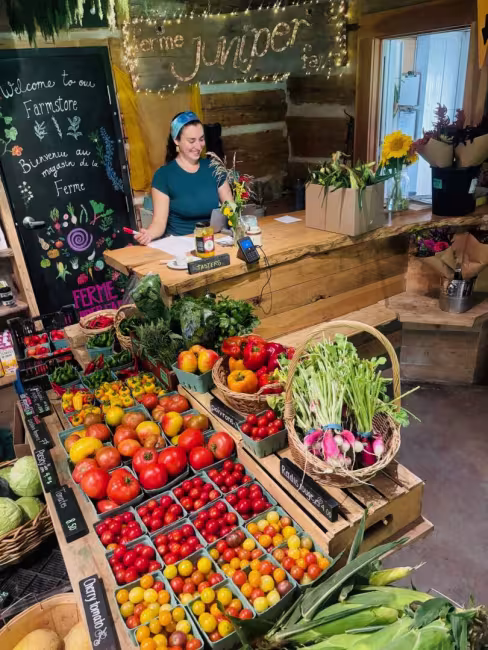Ferme Juniper Farm