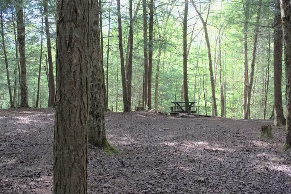 Camping du pont couvert