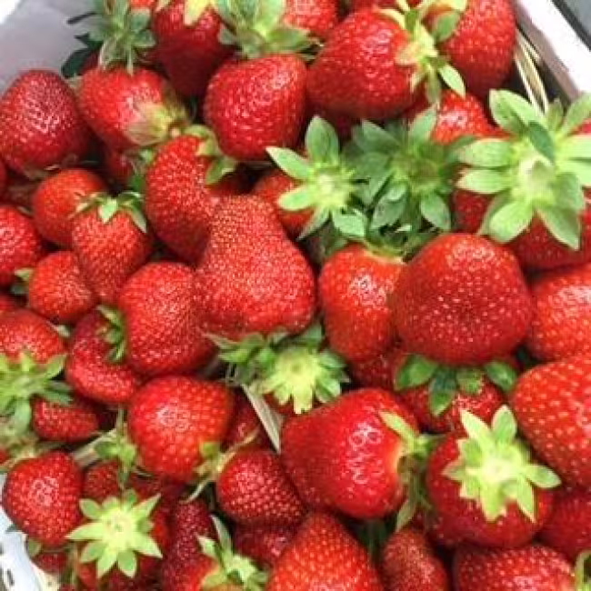 La Fruiterie champêtre inc.