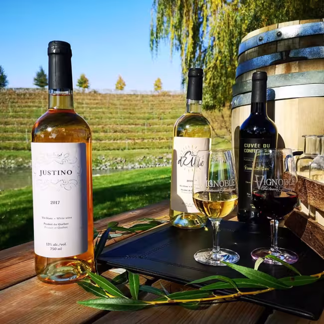 Vignoble Château Fontaine