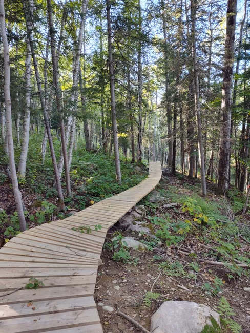 passerelle de bois