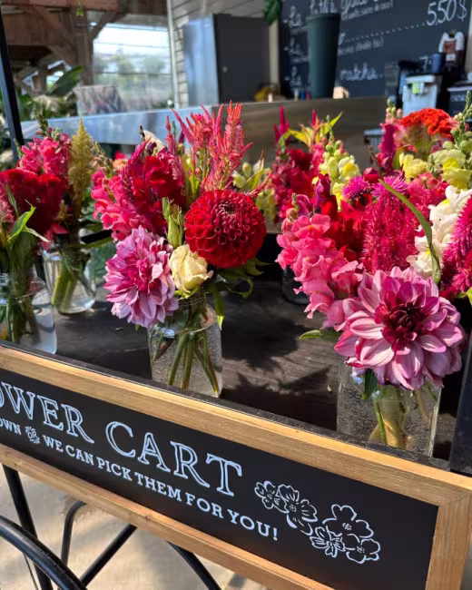 Les Serres Benoit / Bloom Ferme Florale