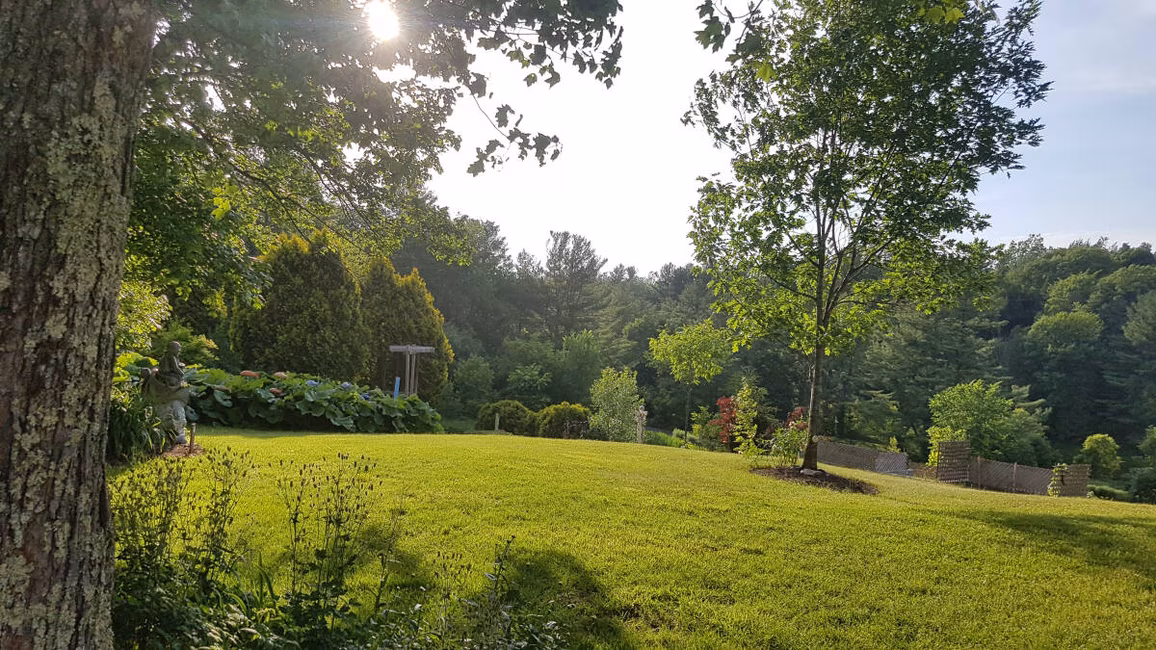 soleil couchant, vue du jardin en haut