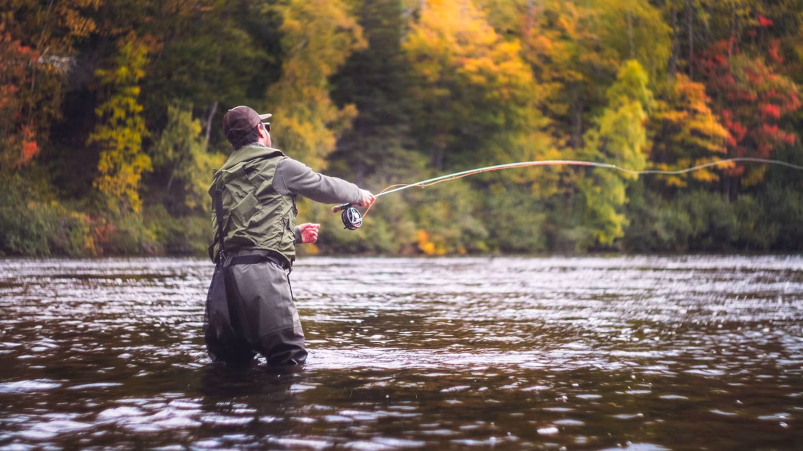 Pêche de rivière