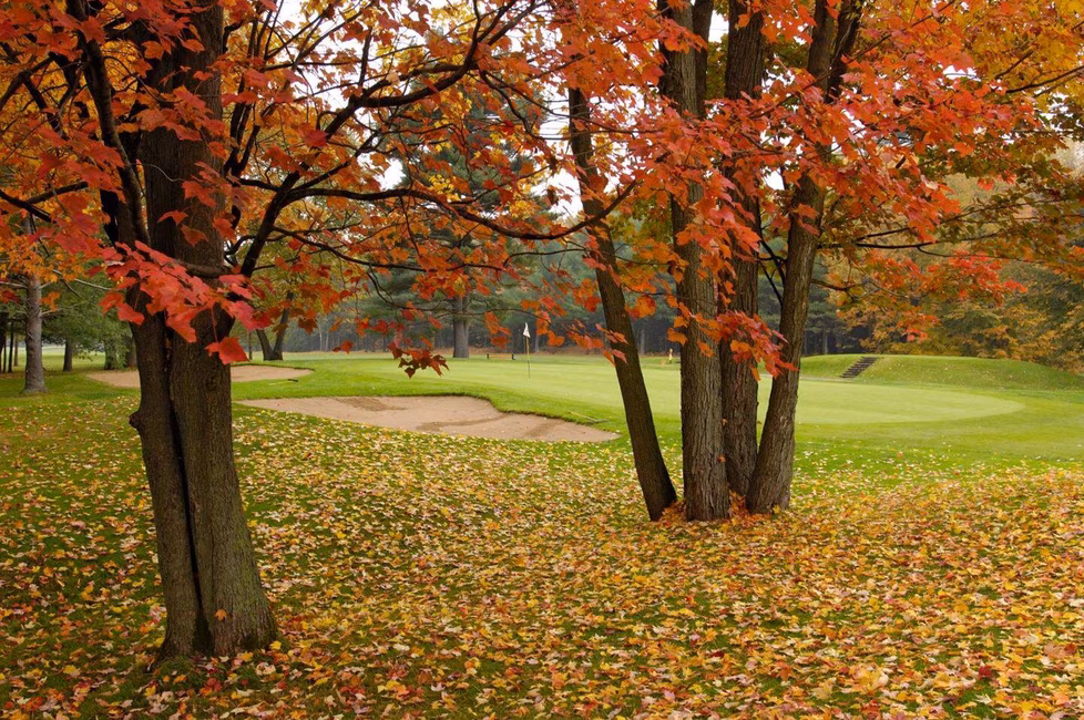 Golf de l'Épiphanie - 3