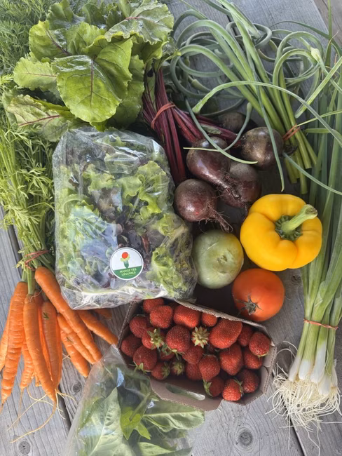 Légumes de saison