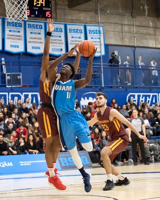 Centre sportif de l'UQAM - Citadins - Basketball masculin