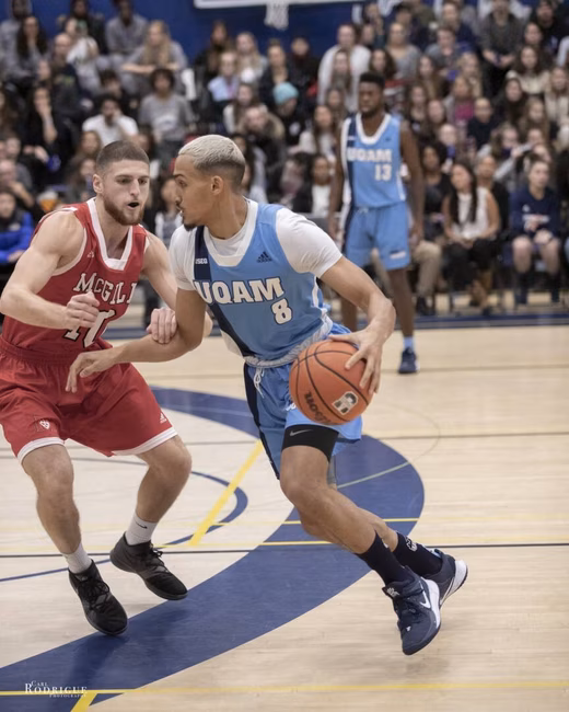 Centre sportif de l'UQAM - Citadins - Basketball masculin
