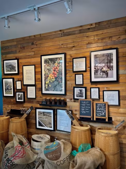 Brûlerie Virgin Hill