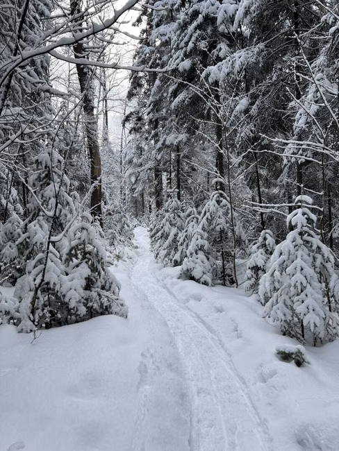 Sentier en Raquette