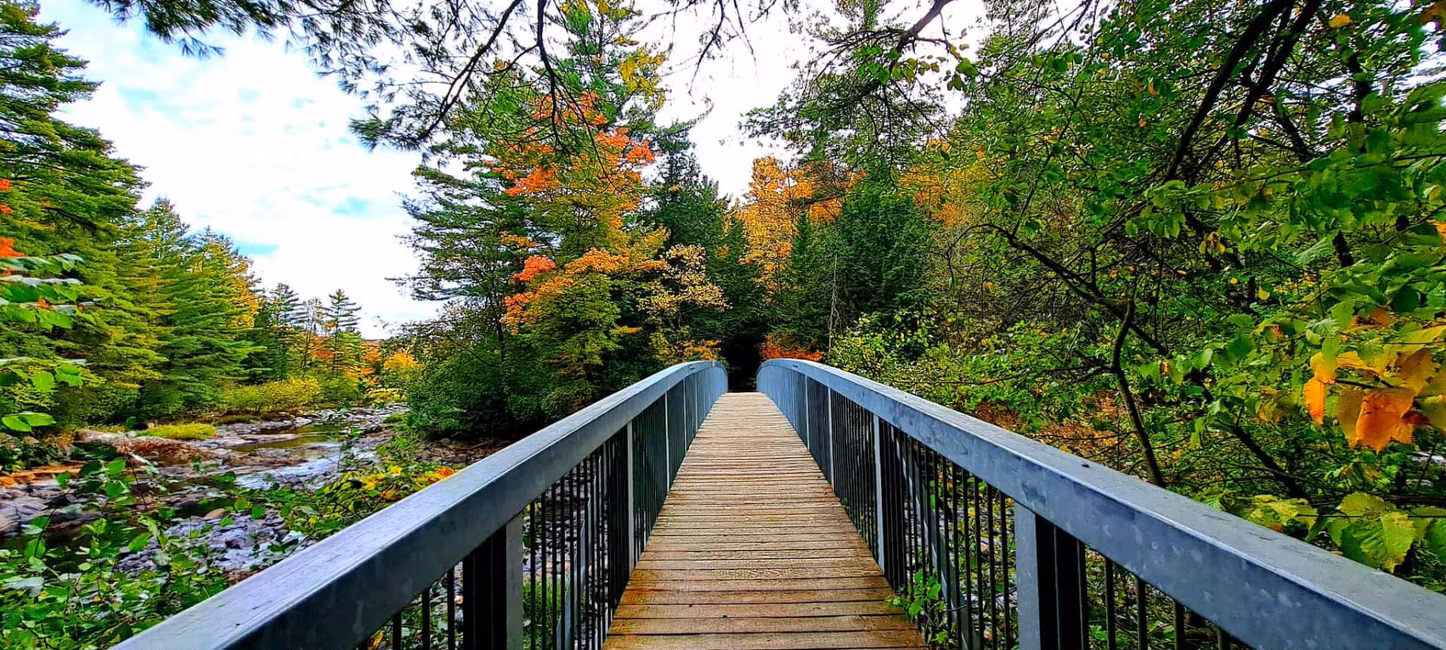 Pont argent en automne