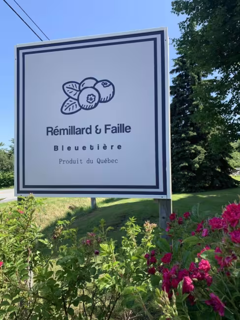 Bleuetière Rémillard & Faille