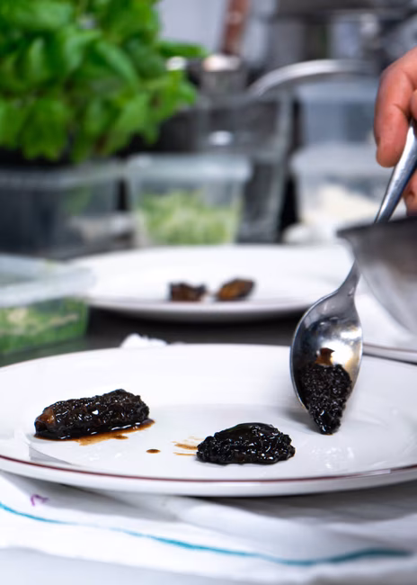 Le Bouchon par Bleu & Persillé - Dressage de morilles