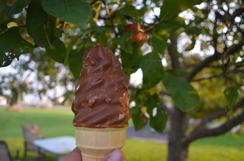 Aux fruits du soleil 