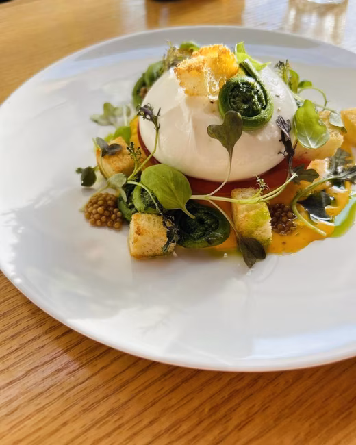 Joséphine - Burrata