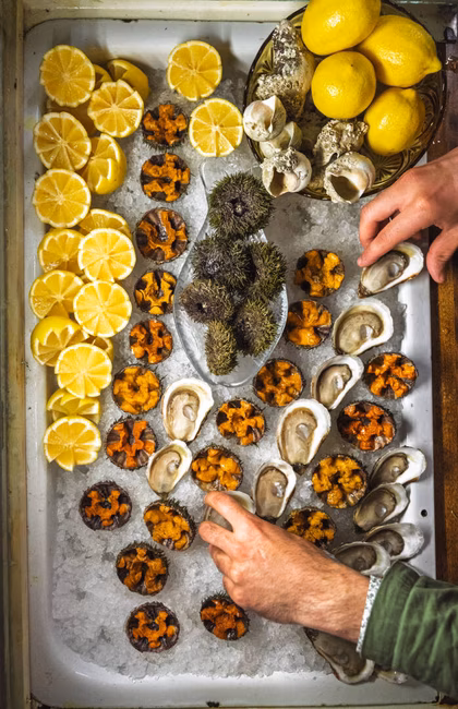 Molenne - Bar à fruits de mer
