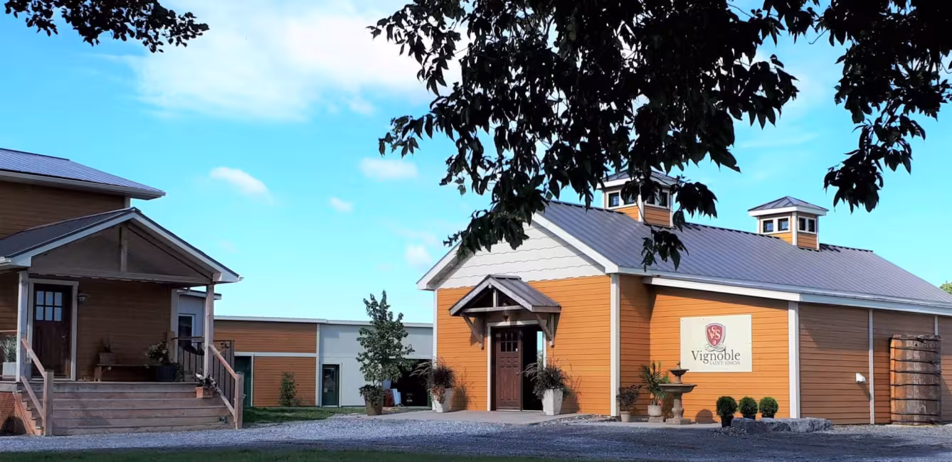 Vignoble Saint-Simon