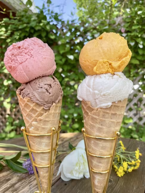 La luciole et le wezo