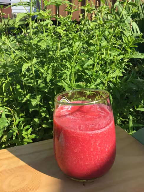 La luciole et le wezo