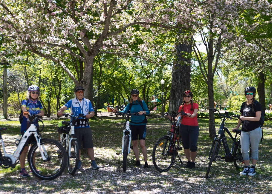 Location de vélo