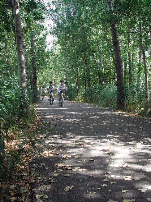 Vélo au Pôle des Rapides