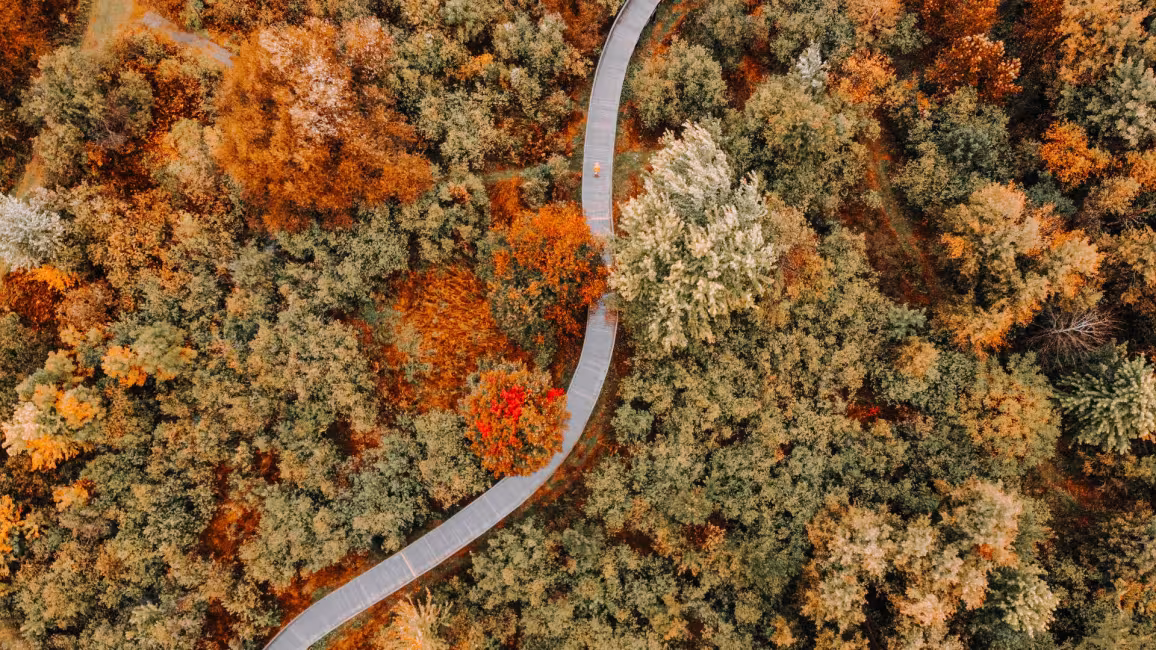 Les sentiers automnaux