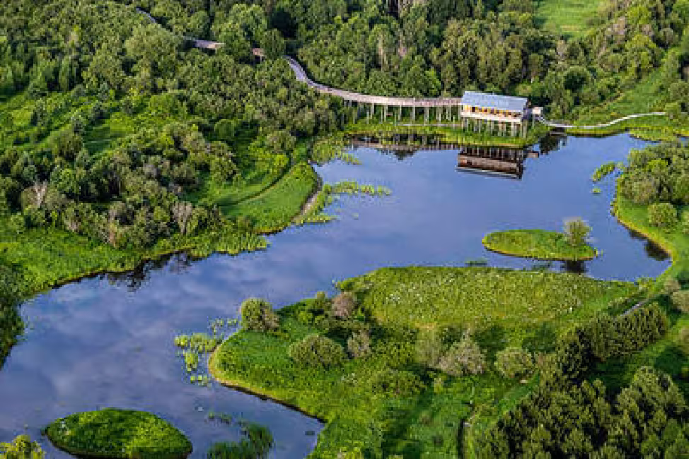 Le grand marais Denis Sylvain