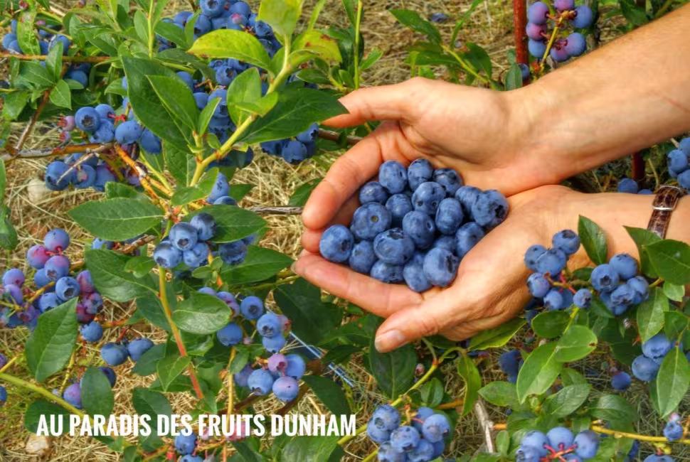 Au Paradis des Fruits, Ferme ECOLOGIQUE