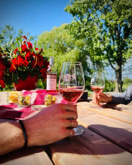 Vignoble Domaine du Fleuve