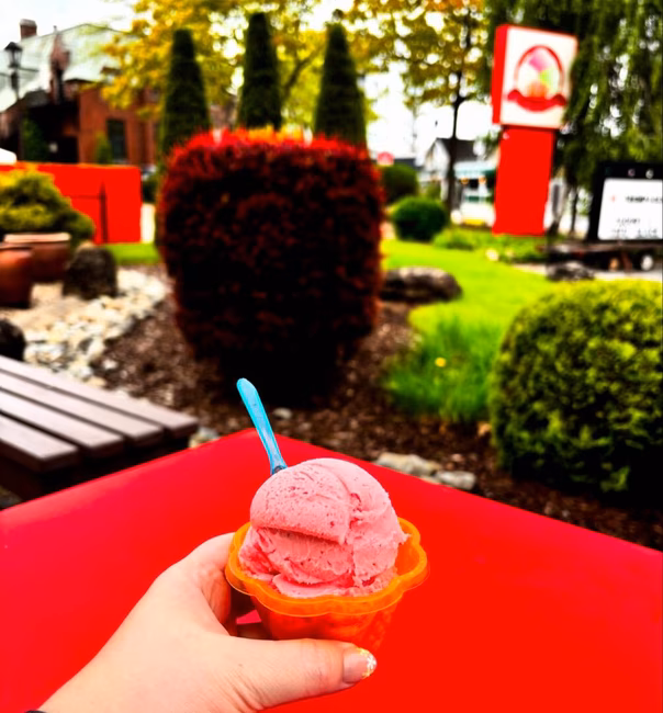 La Crème des Glaces