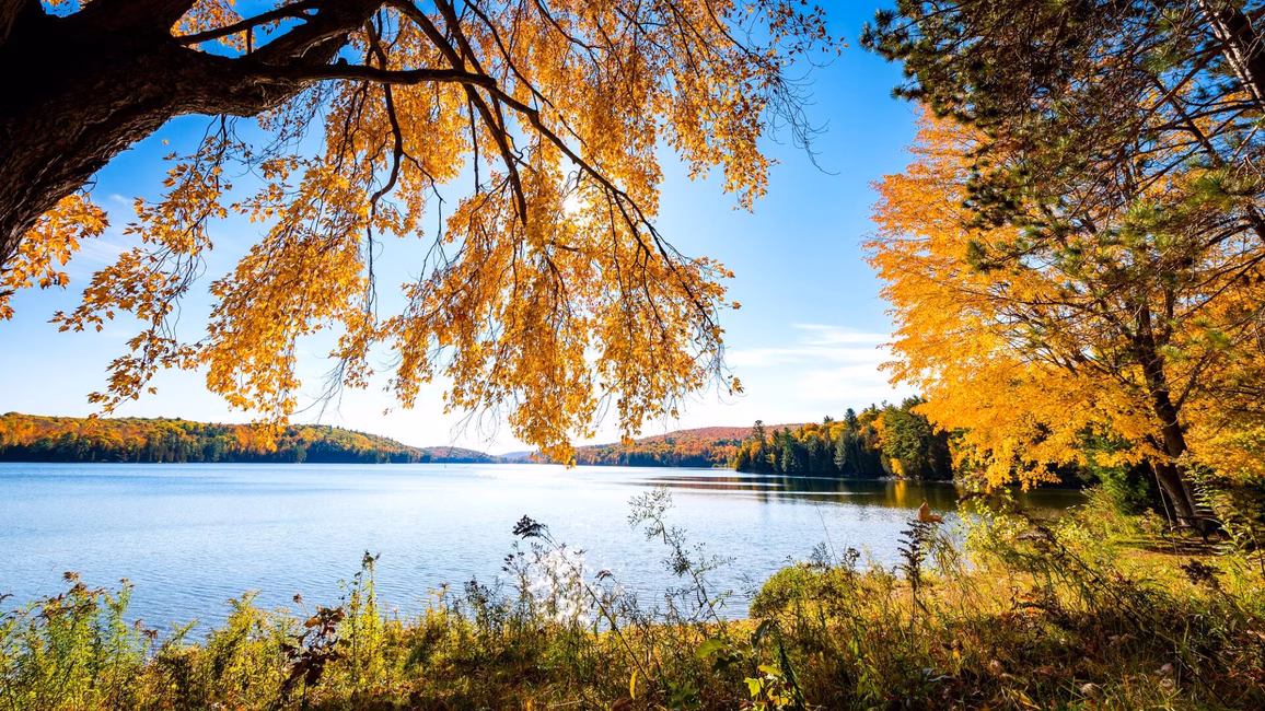 Lac Philippe en automne, au parc de la Gatineau
